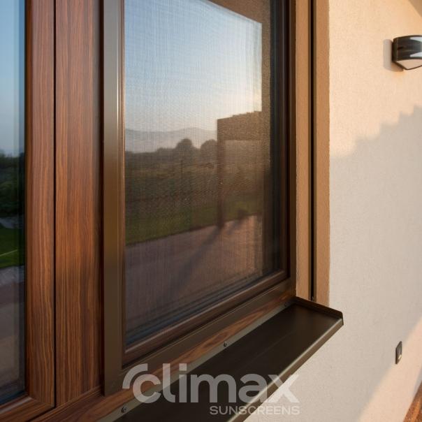 Window fixed net